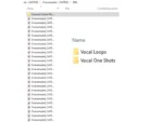 Oversampled Castles 450 WAV sample files organized by category at 24-bit quality